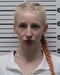 Mugshot of Brianna Rena Runyan