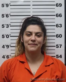 Mugshot of Breanna Marie Meade