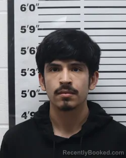Mugshot of David Cisneros Veloz