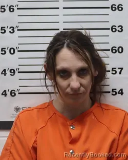 Mugshot of Tara Marie Hays booked in Pratt County, Kansas on March 31, 2026