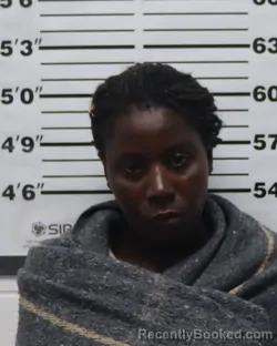 Mugshot of Shahelen Michelle Hudson booked in Pratt County, Kansas on April 10, 2026