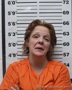 Mugshot of Rebecca Sue Humphrey booked in Pratt County, Kansas on April 11, 2026