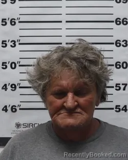 Mugshot of Pamela Jane Toste booked in Pratt County, Kansas on September 13, 2026