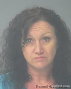 Mugshot of DAWN SHERRI BORDEN