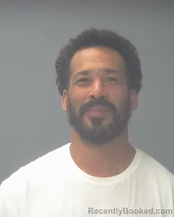 Mugshot of BRANDON LEE HAWKINS