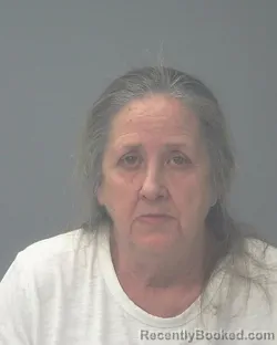 Mugshot of CHERYL FAY TASSIN
