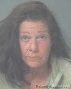 Mugshot of TERRI LYNN MUNDIE