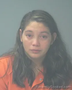 Mugshot of ANA MARIA MELCHOR