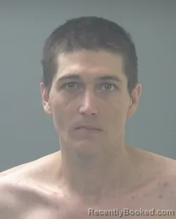 Mugshot of DARIN LEIGH VANNESS