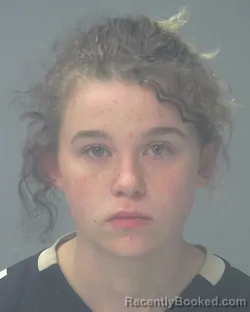 Booking photo from Santa Rosa County, Florida