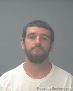 Mugshot of MICHAEL ANTHONY DAMMEYER