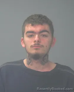 Mugshot of DOMINIC ALEXANDER VANWASSHENOVA