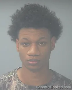 Mugshot of SKYLER BRYANT DILLARD