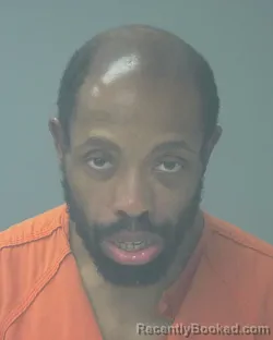 Mugshot of HOLSE DENIEL WILLIAMS