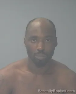 Mugshot of SKYLINE RAYMONE MCCLURE