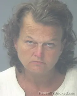 Mugshot of JAMIE EVELYN DULL