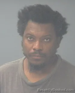 Mugshot of FEDNER JENESTE