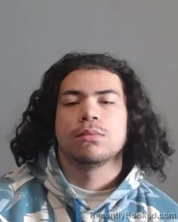 Mugshot of SAWYER AUGUST ANNA