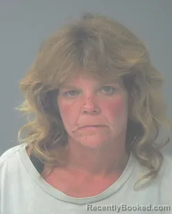 Mugshot of DENISE DANIELLE DONALDSON