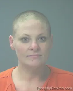 Mugshot of MEGGIE DELIGHT POLLARD