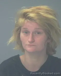 Mugshot of COURTNEY ALLISON COLLINS