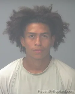 Mugshot of DARWIN NOE ZAPATA ZAPATA