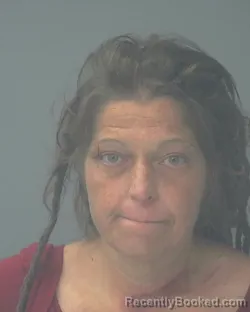Mugshot of ALESIA MICHELLE HAVENS booked in Santa Rosa County, Florida on April 21, 2026