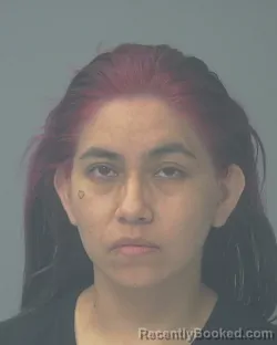 Mugshot of LAURA ELENA SANTIAGO GARFIAS booked in Santa Rosa County, Florida on April 28, 2026