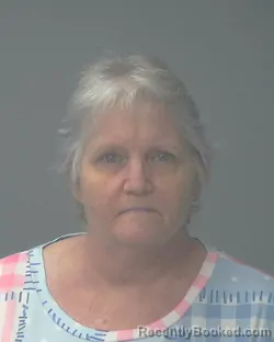 Mugshot of LISA MARIE VANN booked in Santa Rosa County, Florida on April 30, 2026