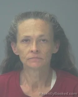 Mugshot of LISA ANN MCINTOSH booked in Santa Rosa County, Florida on May 7, 2026