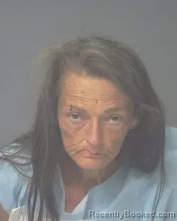 Mugshot of JENNIFER KATHLEEN HARRELL booked in Santa Rosa County, Florida on May 14, 2026