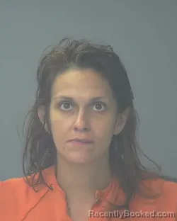 Mugshot of RAEANN NICOLE HORNE booked in Santa Rosa County, Florida on June 15, 2026