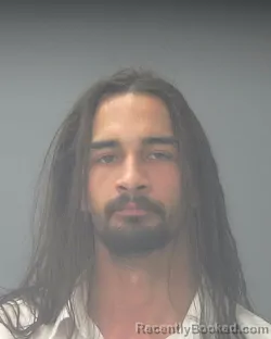 Mugshot of TYLER LOBO HARRIS booked in Santa Rosa County, Florida on June 16, 2026