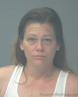 Mugshot of TIFFANY ANN BROWN booked in Santa Rosa County, Florida on June 30, 2026