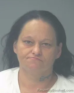 Mugshot of HOLLIE NICOLE FITZ booked in Santa Rosa County, Florida on June 30, 2026