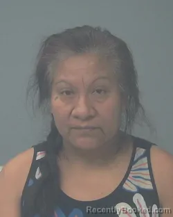Mugshot of MARIA SANTA LINARES GONZALEZ booked in Santa Rosa County, Florida on June 30, 2026