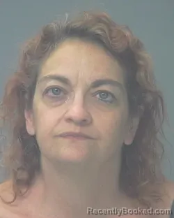 Mugshot of LISA LYNETTE JOHNSTON booked in Santa Rosa County, Florida on July 2, 2026