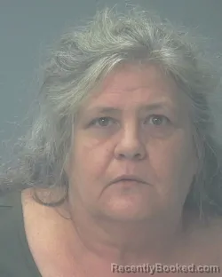 Mugshot of HILDA NANETTE ALLEN booked in Santa Rosa County, Florida on July 7, 2026
