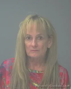 Mugshot of LINDA COX LEWIS booked in Santa Rosa County, Florida on July 8, 2026