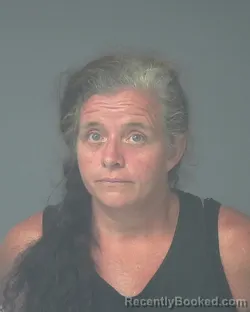 Mugshot of MYRTIS ANNETTE HEULLY booked in Santa Rosa County, Florida on July 9, 2026