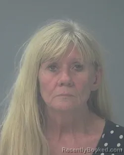 Mugshot of Patti Lynn Nuvoli booked in Santa Rosa County, Florida on July 27, 2026