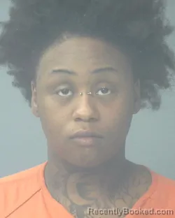 Mugshot of Irilynn Simone Johnson booked in Santa Rosa County, Florida on September 17, 2026