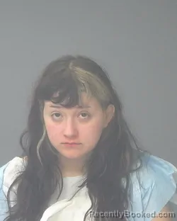 Mugshot of Hayley Elizabeth Erwin booked in Santa Rosa County, Florida on September 29, 2026