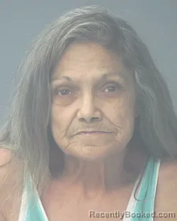 Mugshot of Pamila Joan Coleman booked in Santa Rosa County, Florida on October 2, 2026