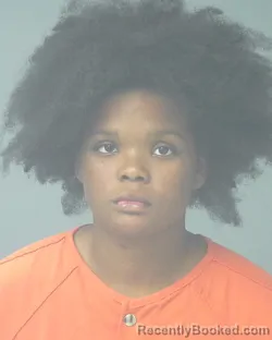 Mugshot of Bryanna Lee Perkins booked in Santa Rosa County, Florida on October 12, 2026