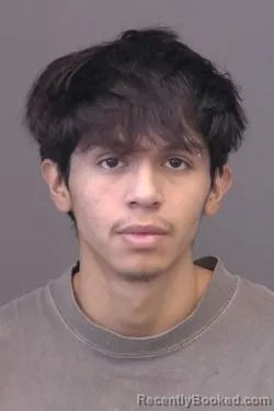 Mugshot of Jacob Luis Larson