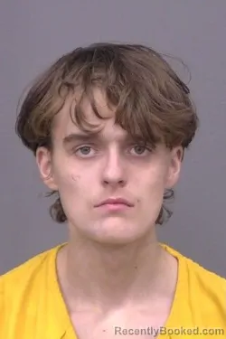 Mugshot of Elijah Christopher Hammon