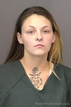 Mugshot of Destiny Jasmine Williams