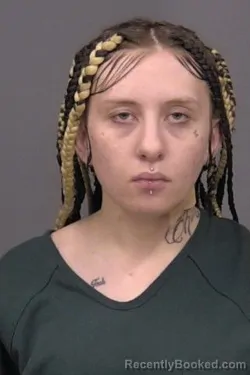 Mugshot of Elizabeth Paige Marie Juhl