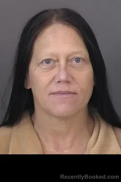 Mugshot of Stevi Elizabeth Novak
